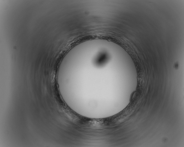 X0000091580660200708201015