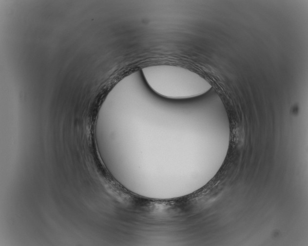 X0000091580662200708201015