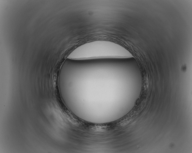 X0000091580664200708201015