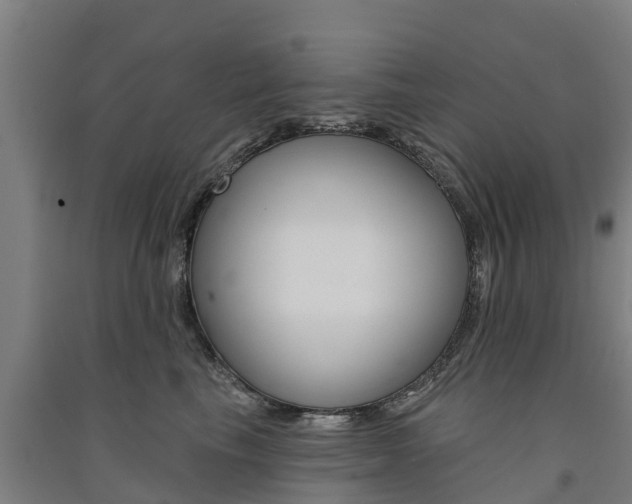 X0000091580665200708201015