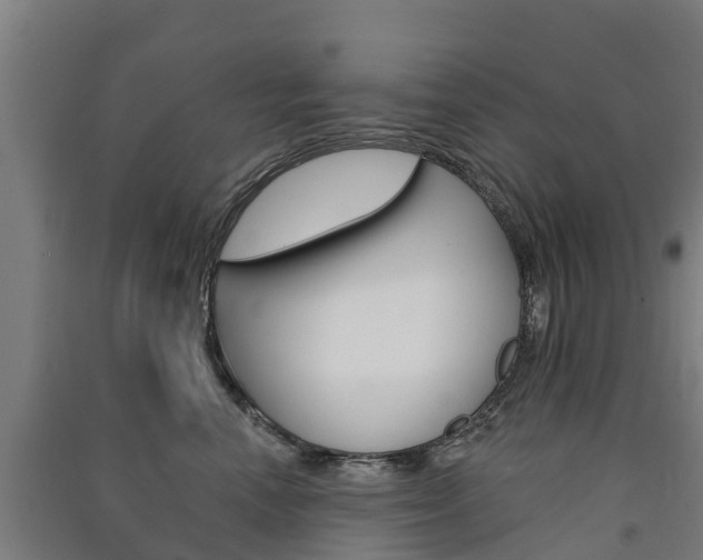 X0000091580666200708201015