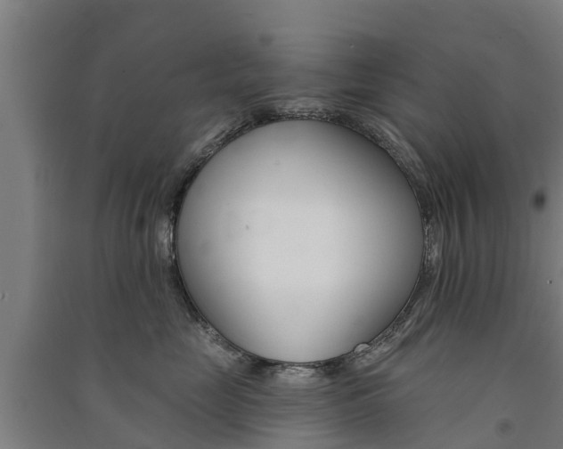 X0000091580669200708201015