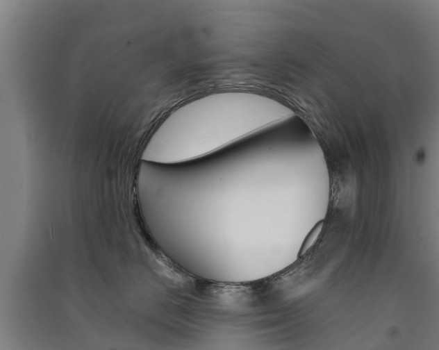 X0000091580670200708201015