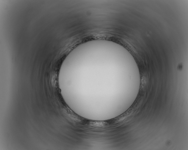 X0000091580671200708201015