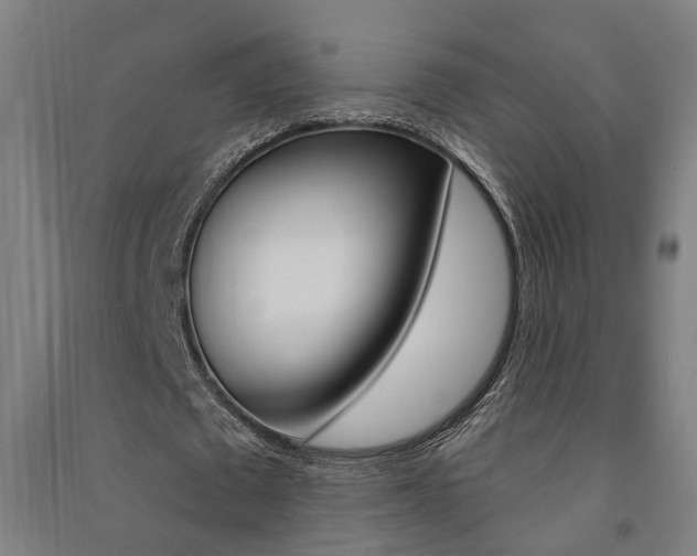 X0000091580673200708201014