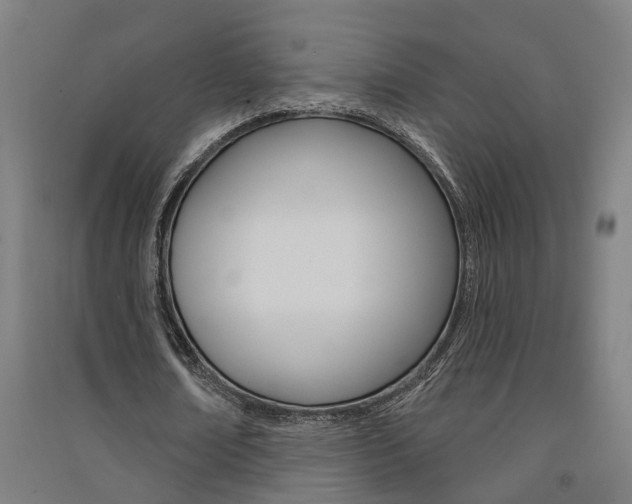 X0000091580674200708201014