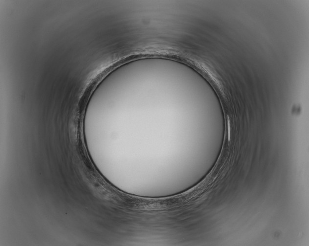 X0000091580675200708201014