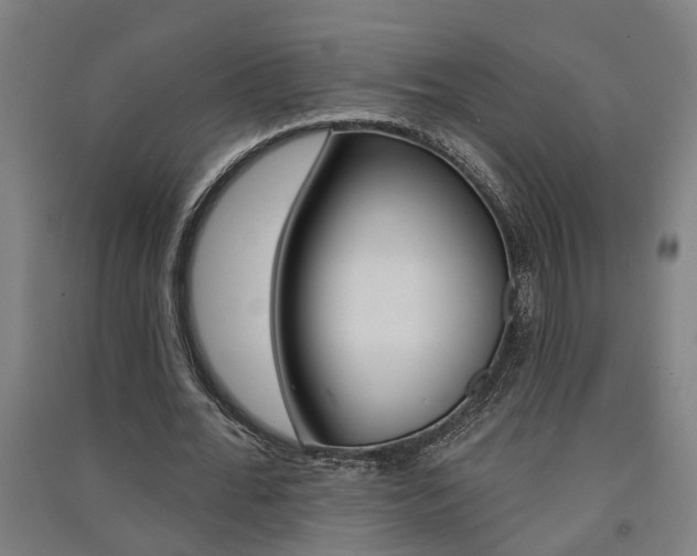 X0000091580676200708201014