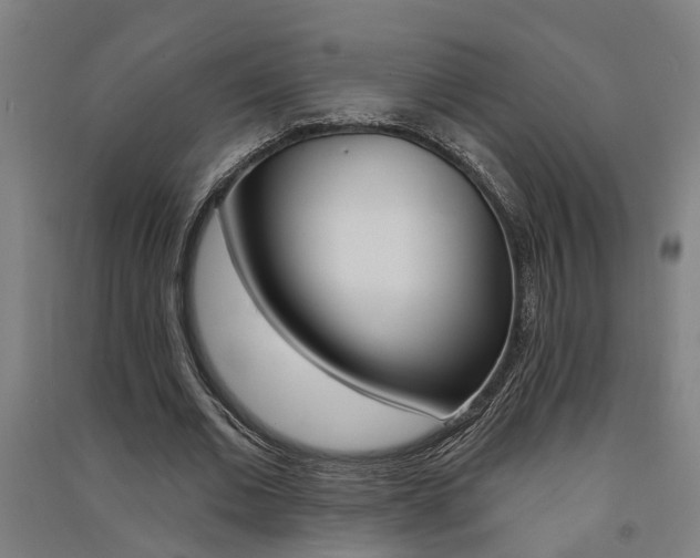 X0000091580677200708201014