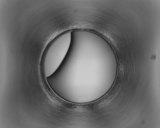 X0000091580678200708201014