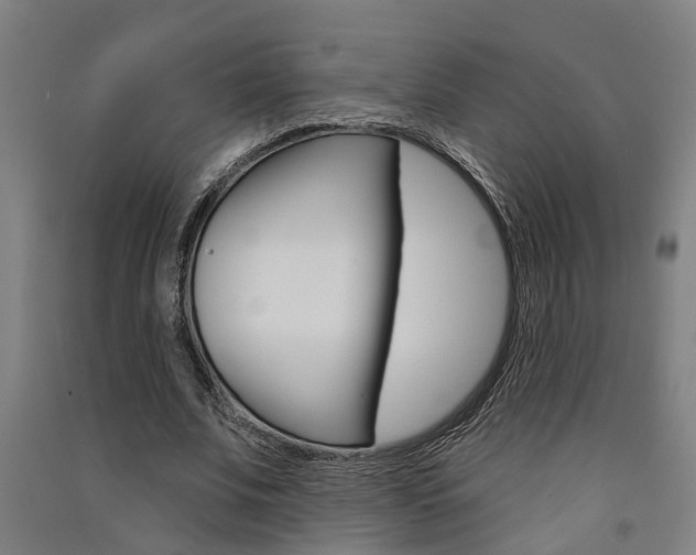 X0000091580679200708201014