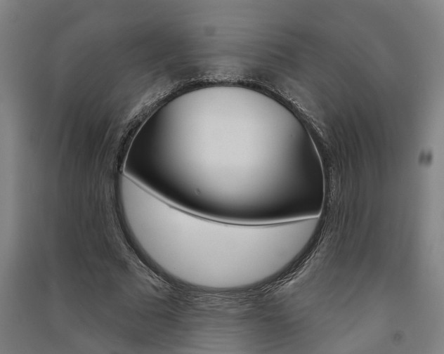 X0000091580681200708201014