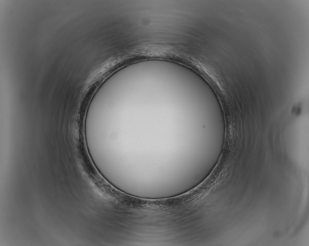 X0000091580682200708201014