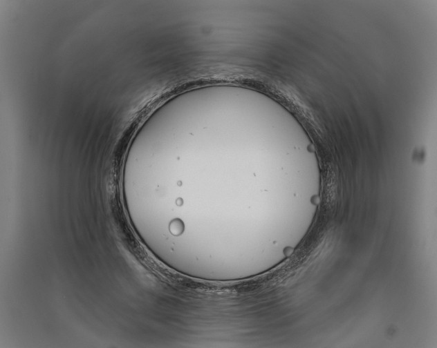X0000091580683200708201014