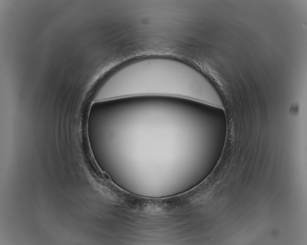 X0000091580684200708201014