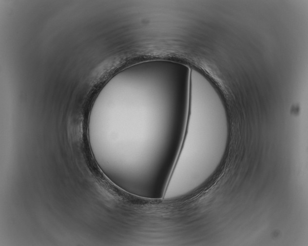 X0000091580685200708201014