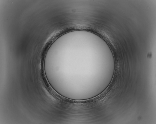 X0000091580686200708201014