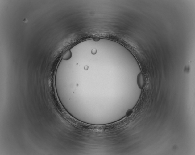 X0000091580687200708201014