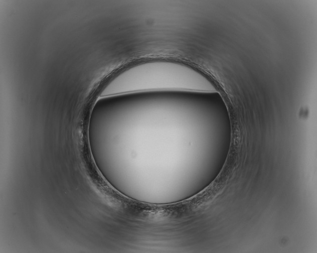 X0000091580688200708201014
