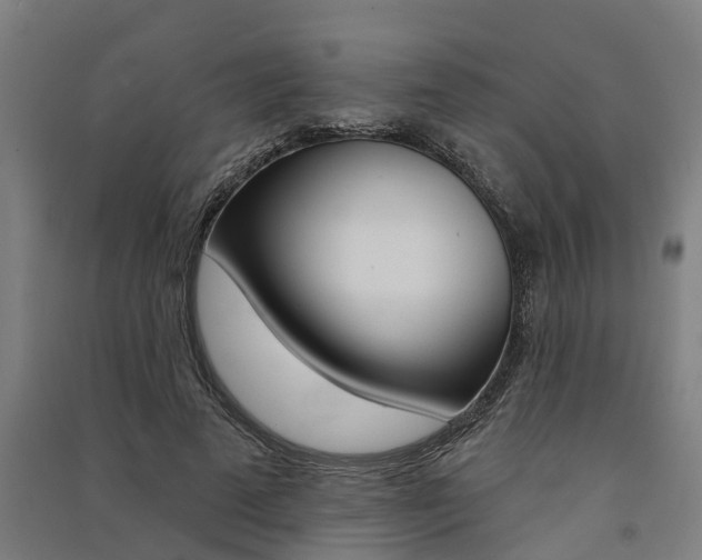 X0000091580689200708201014