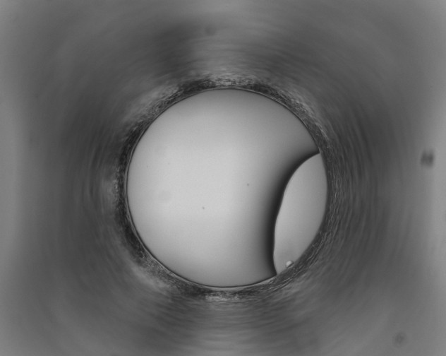 X0000091580690200708201014