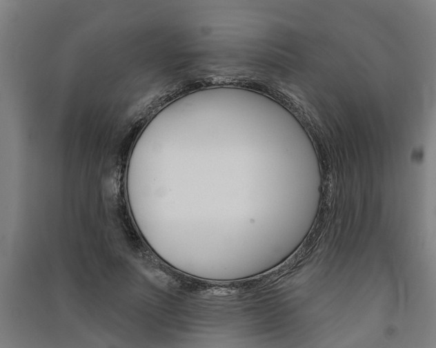 X0000091580691200708201014