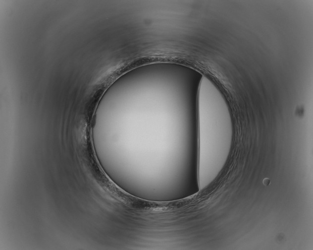 X0000091580692200708201014