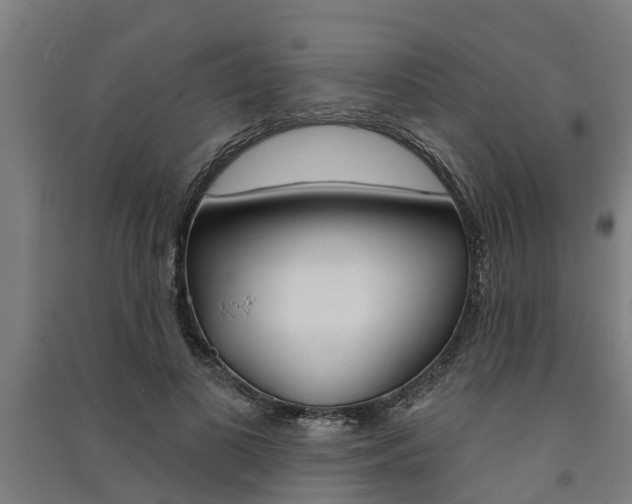 X0000091580693200708201014