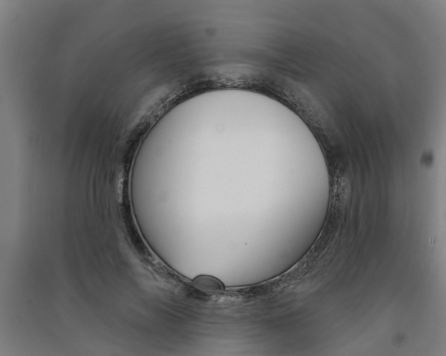 X0000091580694200708201014