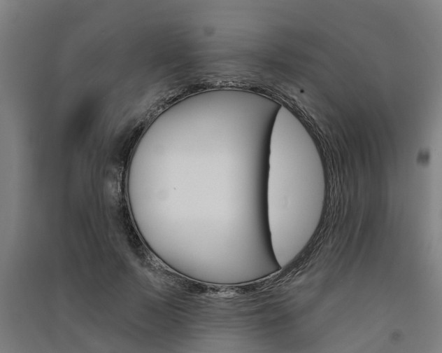 X0000091580695200708201014