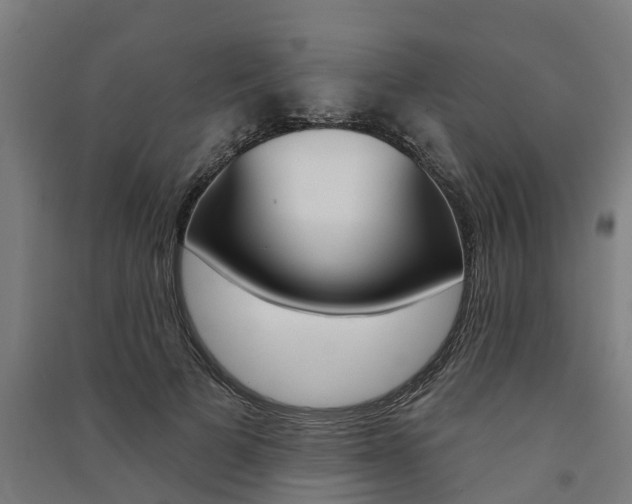 X0000091580697200708201014
