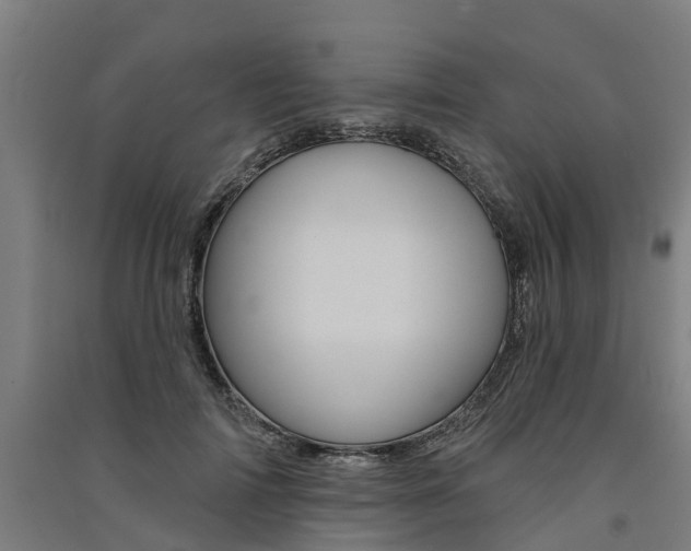 X0000091580698200708201014