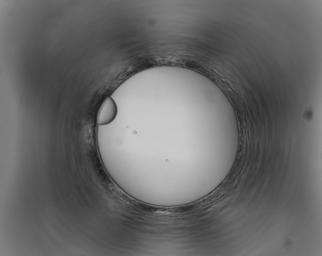 X0000091580699200708201014