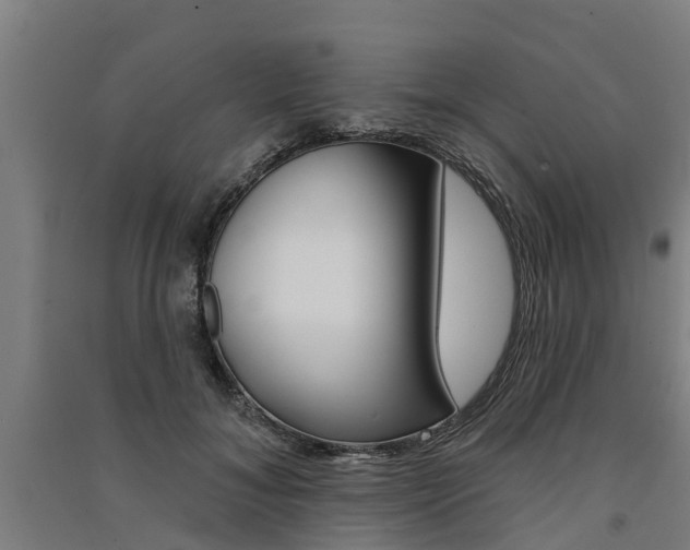 X0000091580700200708201014
