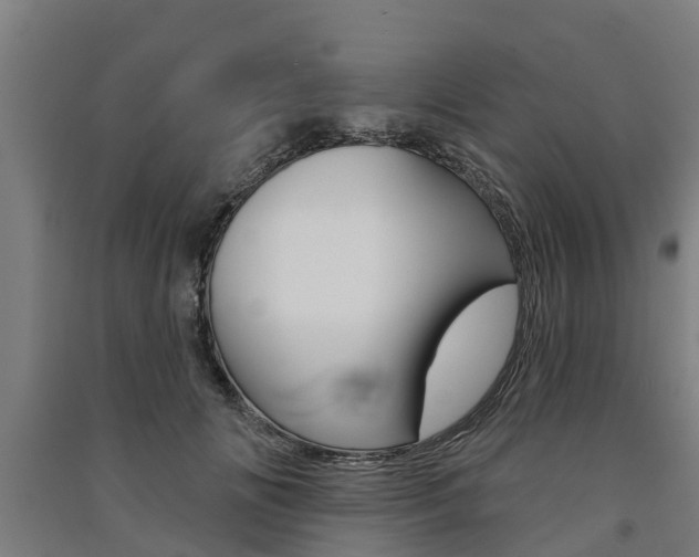 X0000091580702200708201014
