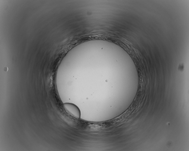 X0000091580703200708201014