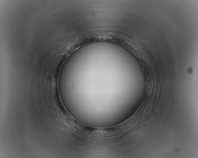 X0000091580704200708201014