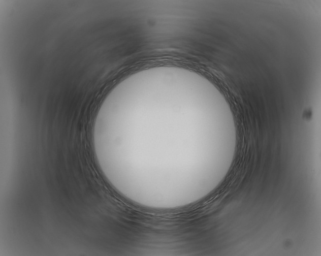 X0000091580705200708201014