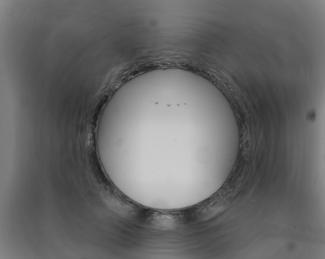 X0000091580706200708201014