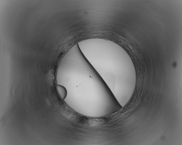X0000091580707200708201014