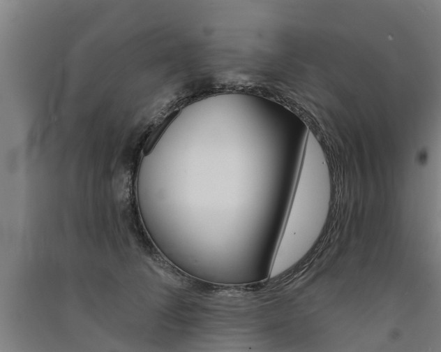 X0000091580708200708201014
