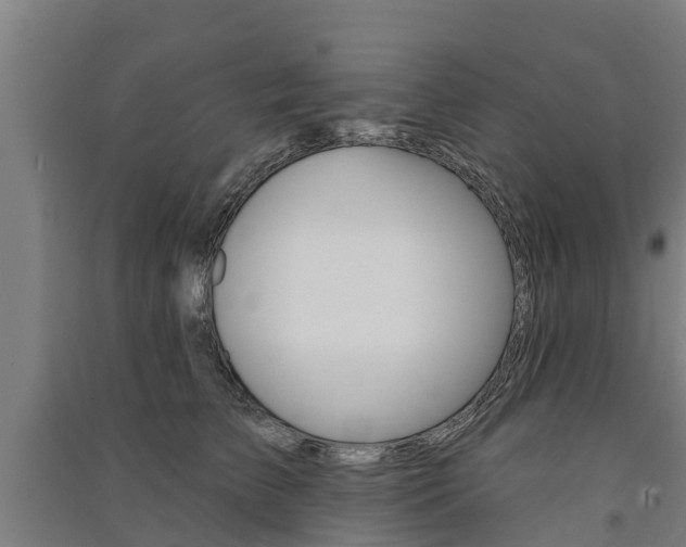 X0000091580709200708201014