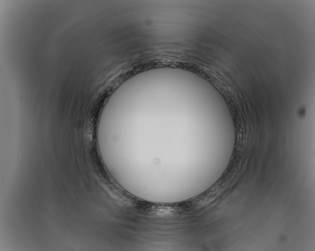 X0000091580710200708201014