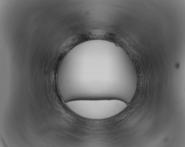 X0000091580711200708201014