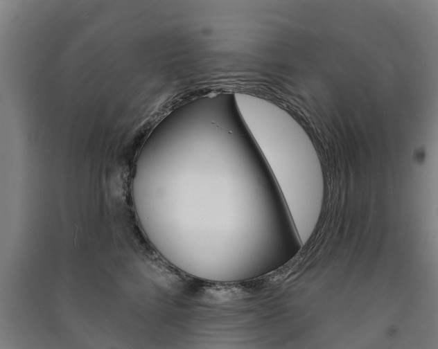 X0000091580712200708201014