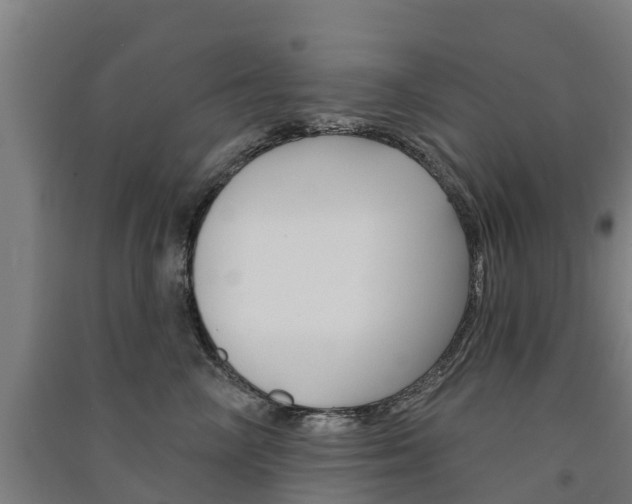 X0000091580714200708201014