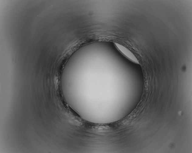 X0000091580716200708201014