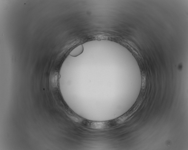 X0000091580717200708201014