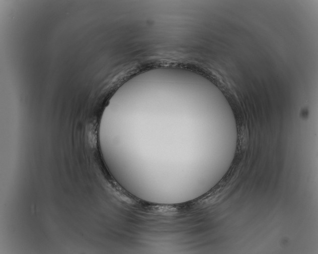 X0000091580719200708201013