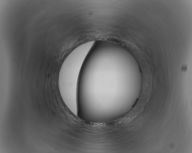 X0000091580720200708201013